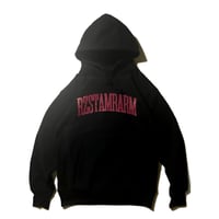 Arch Logo Hoodie(BLACK)裏起毛