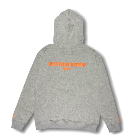 Reflector Line hoodie