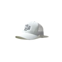 3D Logo Mesh Cap(WHITE)