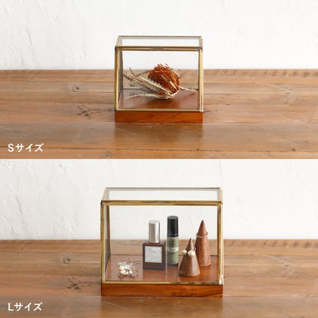 ブラス ＆ ガラス ショーケース【L/S】