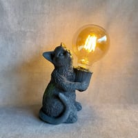 キャット ルミエール