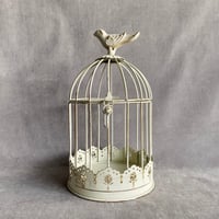 エタン バードケージ  AWH