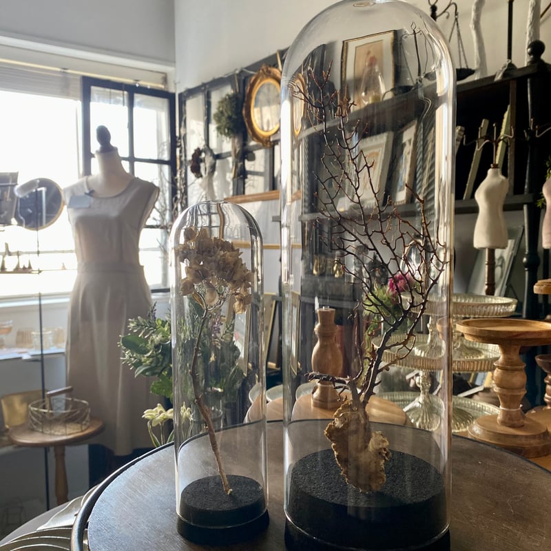 コルク ガラスドーム【S/M】BK | Velvety