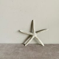 スターフィッシュ オブジェ