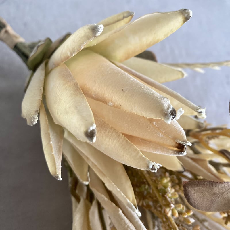 アーティフィシャル ブーケ プロテア CM/BU | Velvety