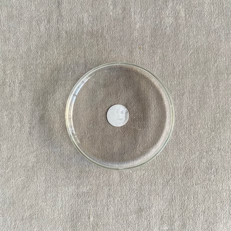 クリア ガラスドーム【S】