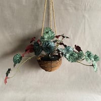 アーティフィシャルグリーン ユキノシタ ハンギング