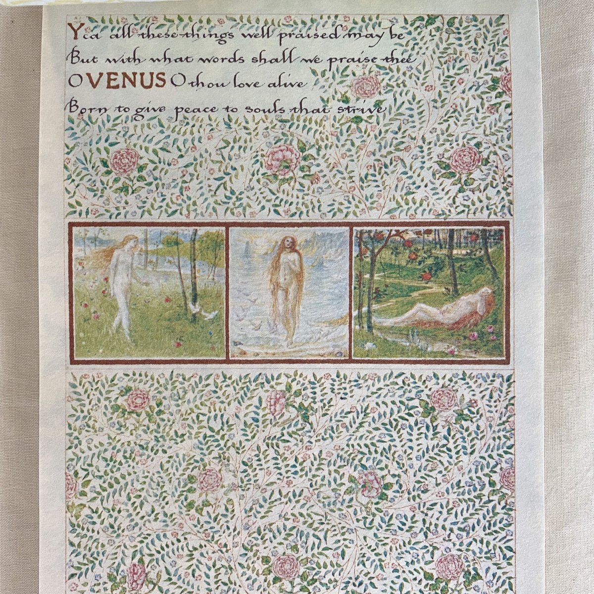 ウィリアムモリス マスキングテープ レターブック ウィリアムモリス マスキングテープ レターブック 文房具・事務用品