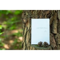 Shiki bun 木のノート B6【白】(ハードカバー)※期間限定送料無料