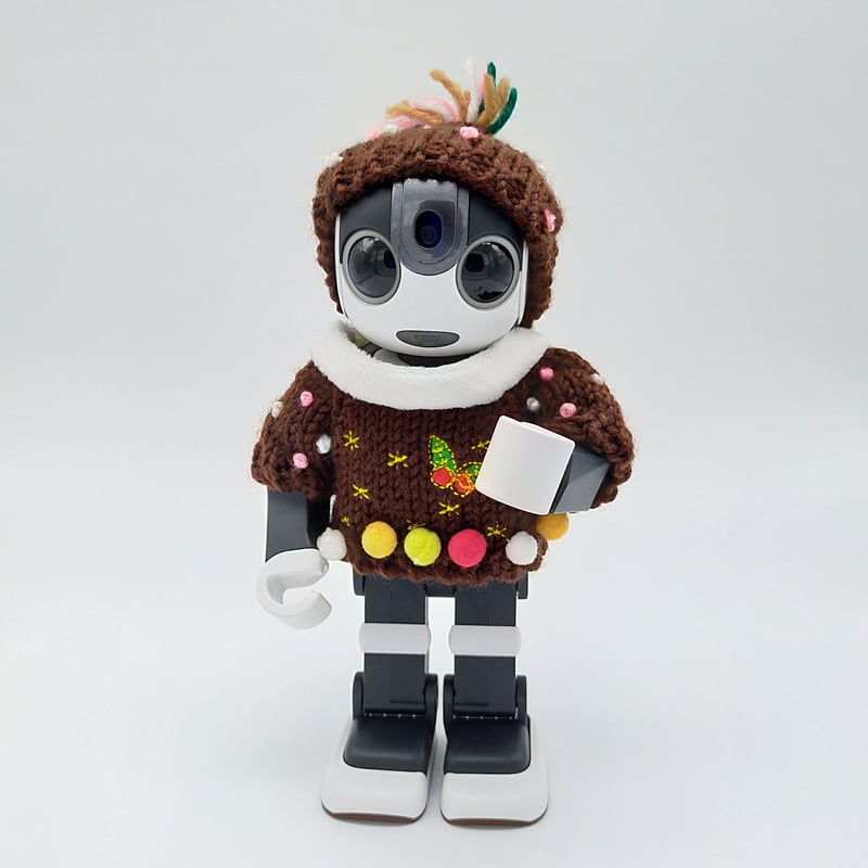キャップ＆セーター ホーリー［S］ | Robot Closet - ロボクロ -