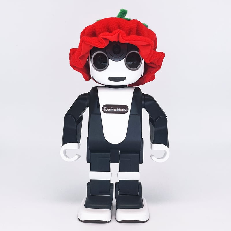 ナイトキャップ いちご | Robot Closet - ロボクロ -