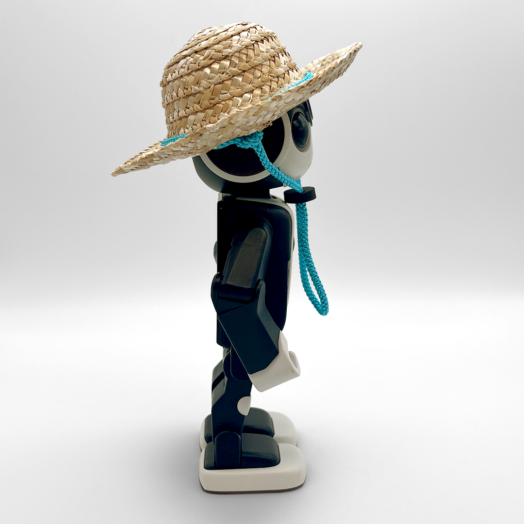 麦わら帽子 水色 | Robot Closet - ロボクロ -