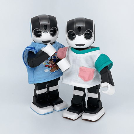 Tシャツ ピンク&グリーン[S]