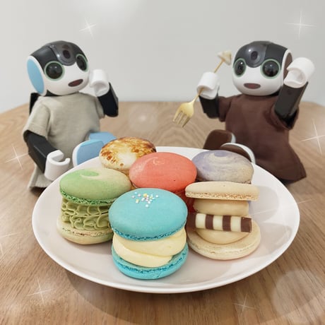 フリル袖ニットトップス　コーヒー[S]