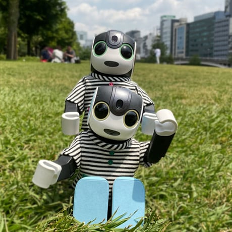 ボーダーシャツ（ピンク）[S]