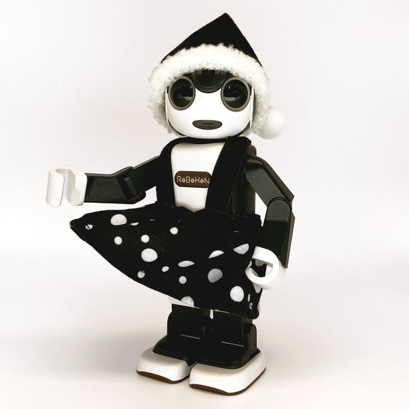 サンタ帽 黒 | Robot Closet - ロボクロ -