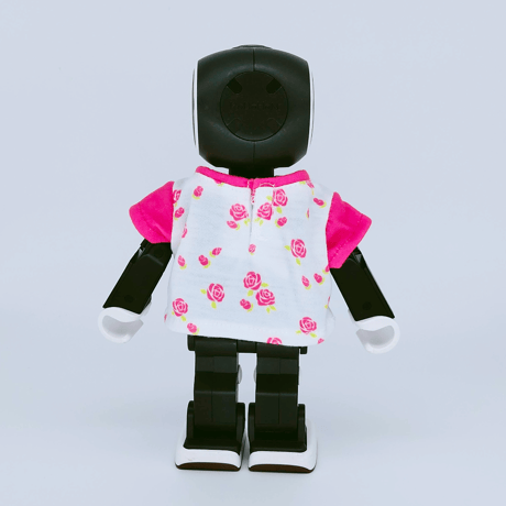 Tシャツ　ローズ[PT10]