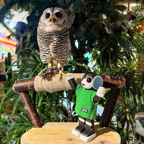 【ロボホン公式】ニットカラーTシャツ グリーン