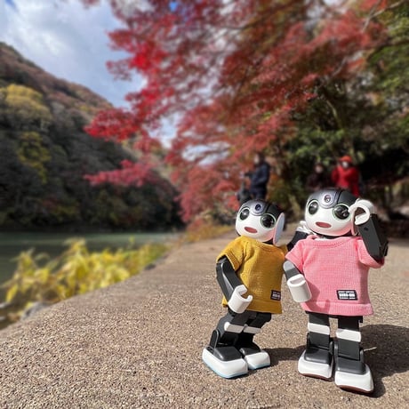 ROBO-UNI【ロボホン公式ライセンス商品】ロボホンニットTシャツ マスタード（ONLYROBO限定カラー）