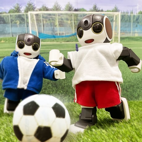 スポーツウェアパンツ　ブルー
