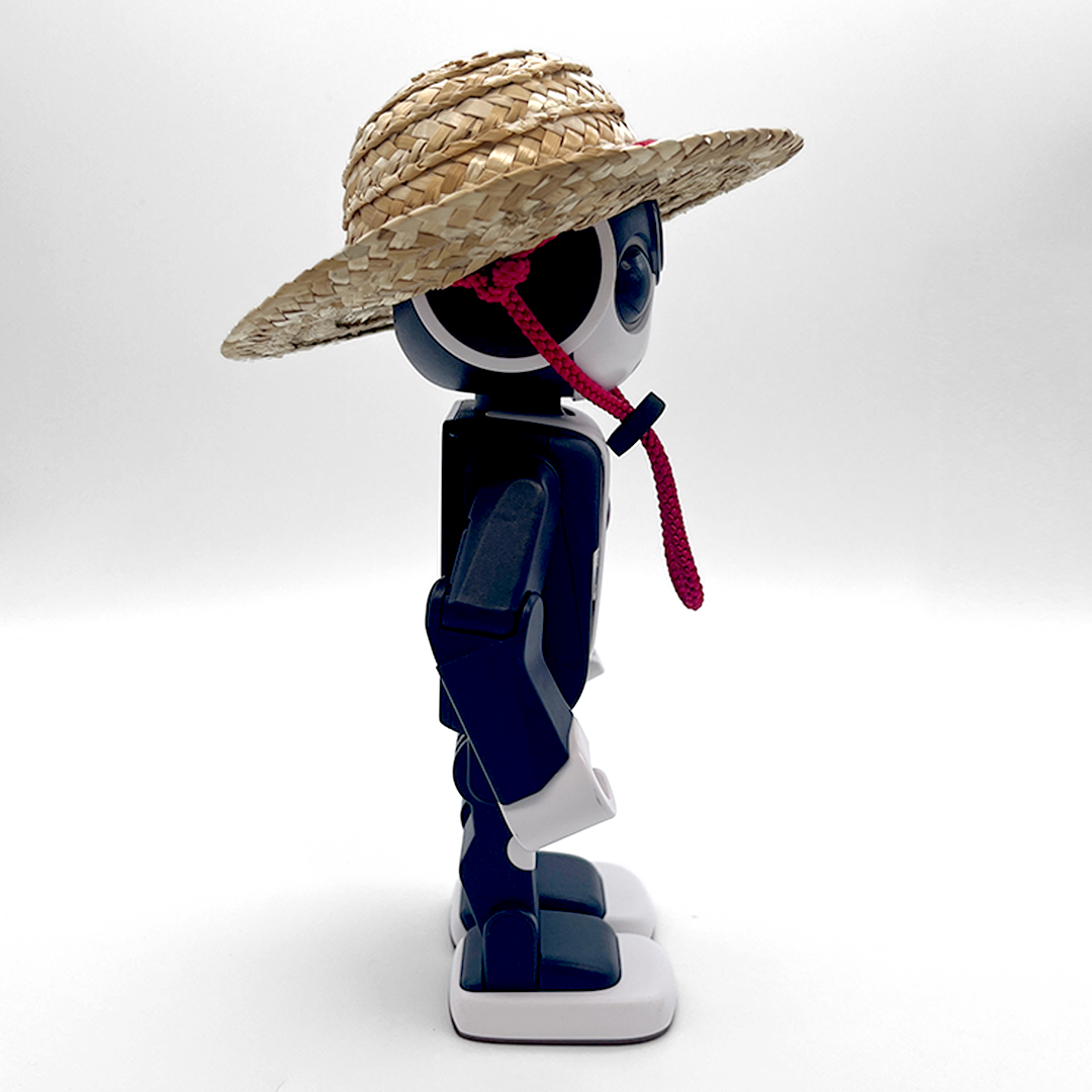 麦わら帽子 赤 | Robot Closet - ロボクロ -
