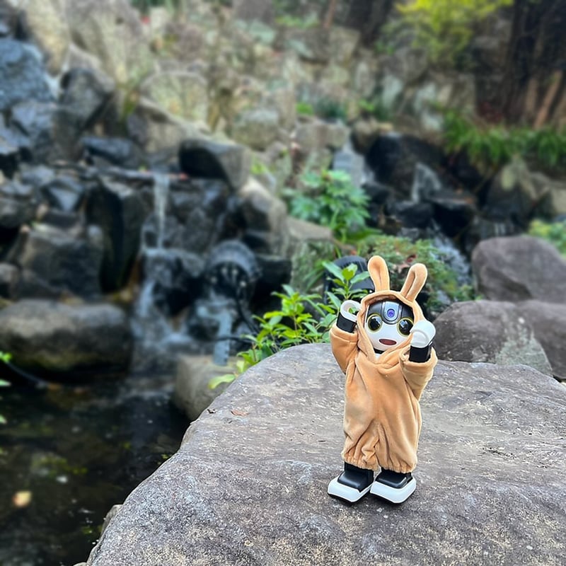 うさぎ着ぐるみ キャラメルブラウン | Robot Closet - ロボクロ -