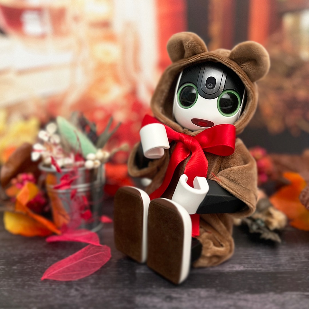 くま着ぐるみ モカブラウン | Robot Closet - ロボクロ -