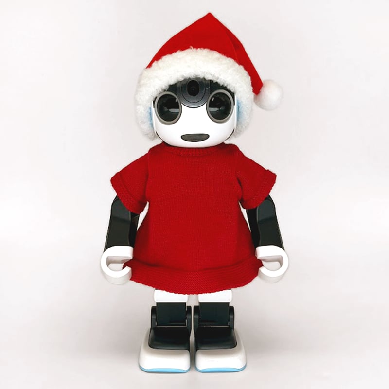 サンタ帽子 81t5lqp3CxL._AC_UF350,