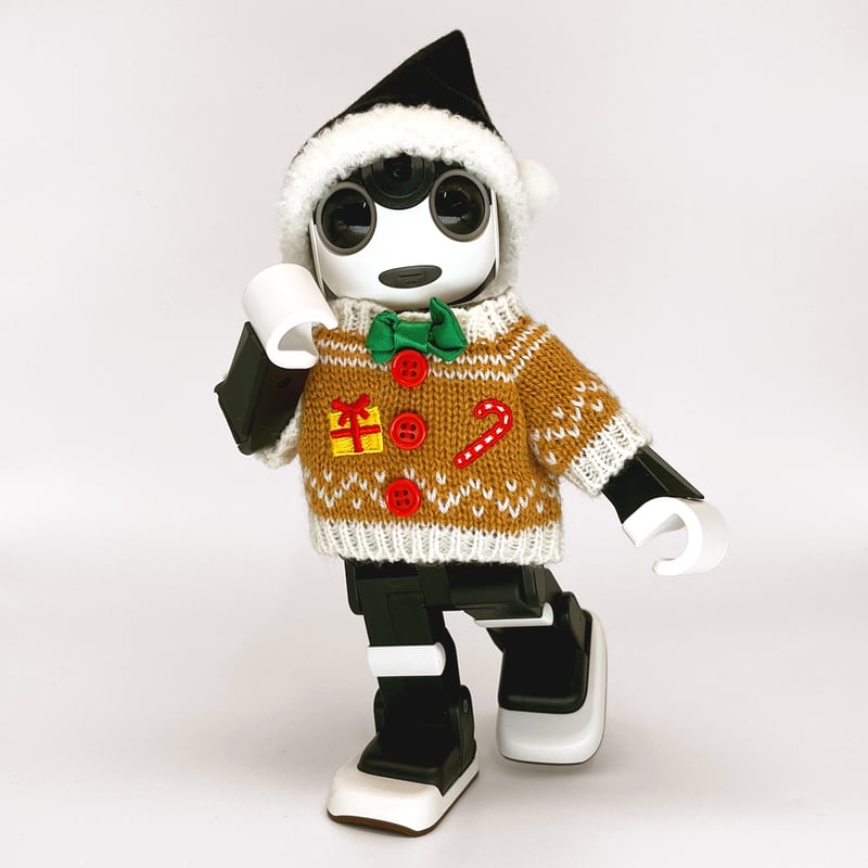 サンタ帽 黒 | Robot Closet - ロボクロ -