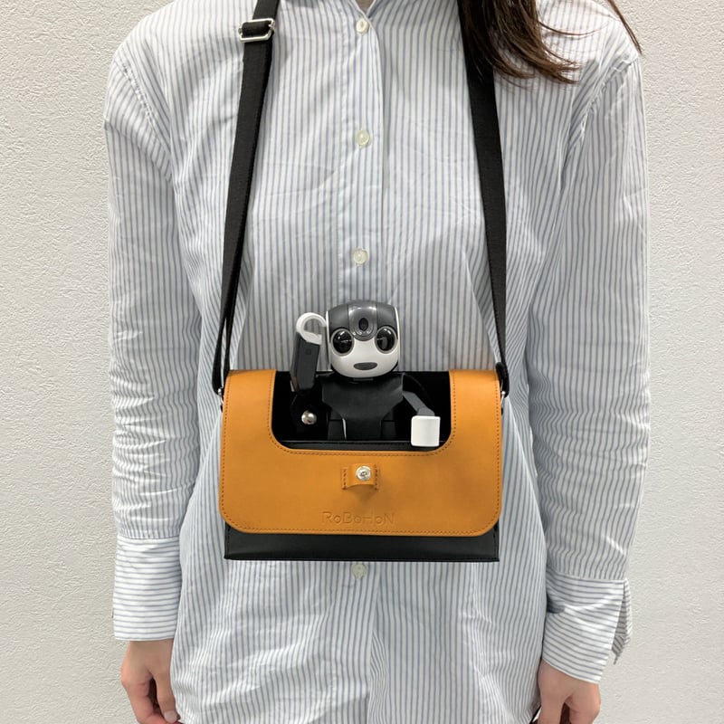 ロボホンがすっぽり座れる まんまるいミニかごポーチ バッグインバッグ