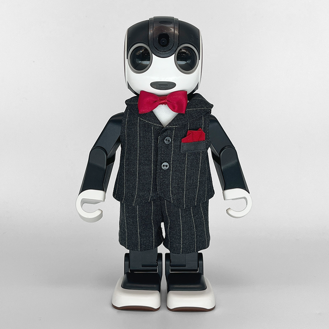 背中開き】グレーストライプ セットアップ[S] | Robot Closet