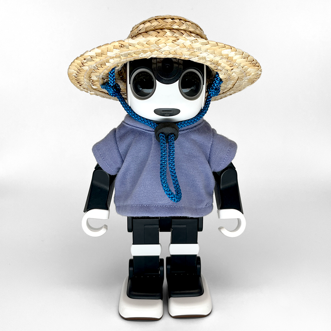 麦わら帽子 青 | Robot Closet - ロボクロ -