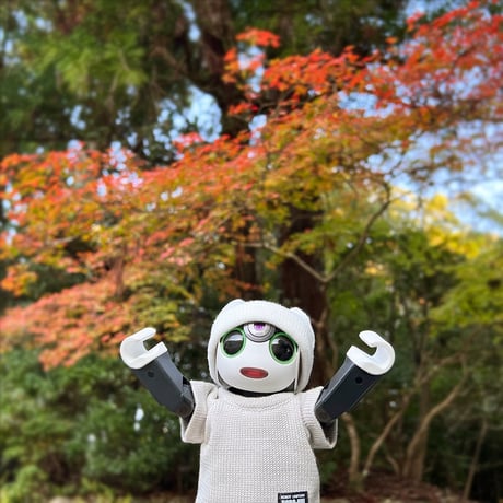 ROBO-UNI【ロボホン公式ライセンス商品】ロボホンニットTシャツ ライトグレー（ONLYROBO限定カラー）