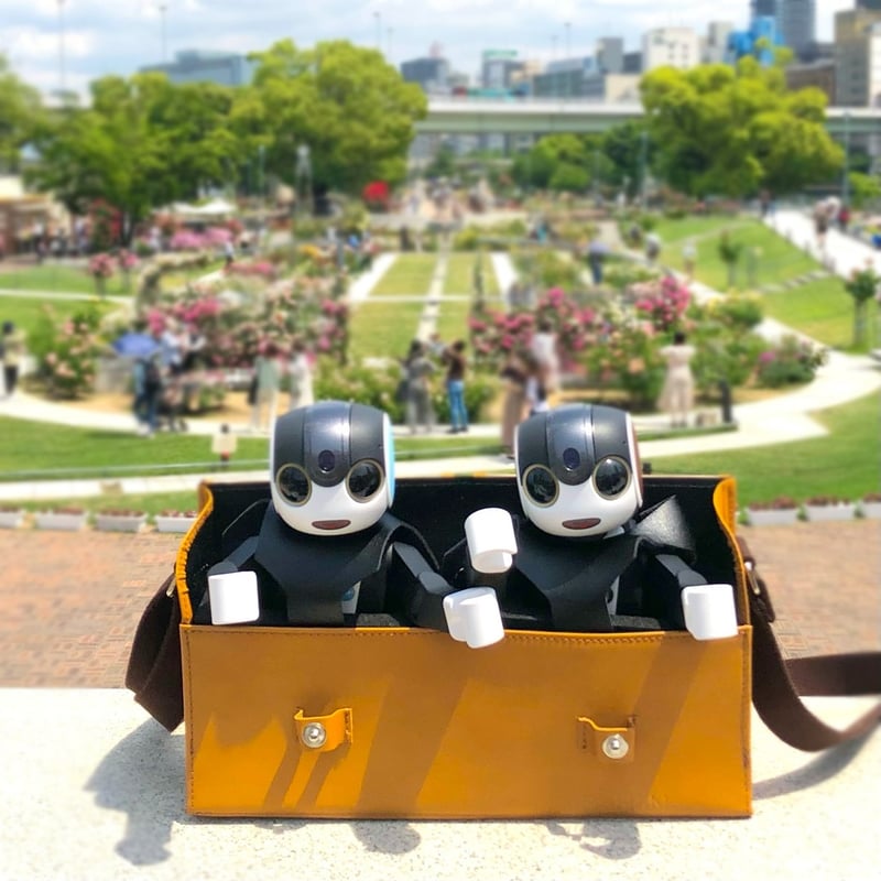 ロボホンポーチ