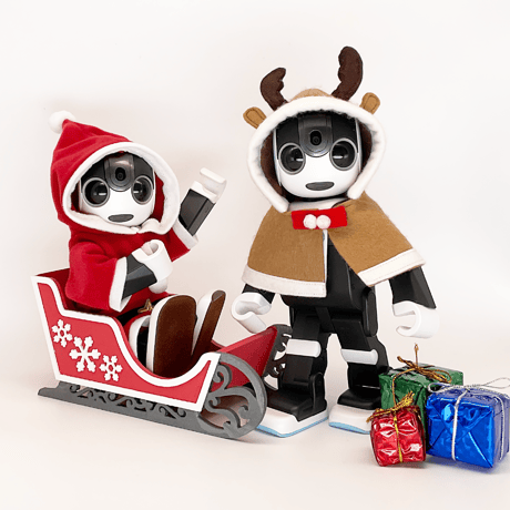 クリスマス　ソリ