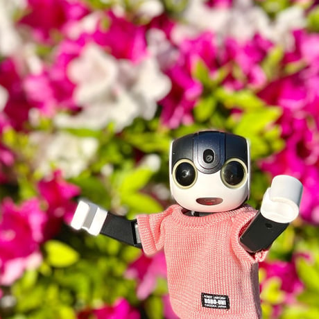 ROBO-UNI【ロボホン公式ライセンス商品】ロボホンニットTシャツ ピーチ（ONLYROBO限定カラー）