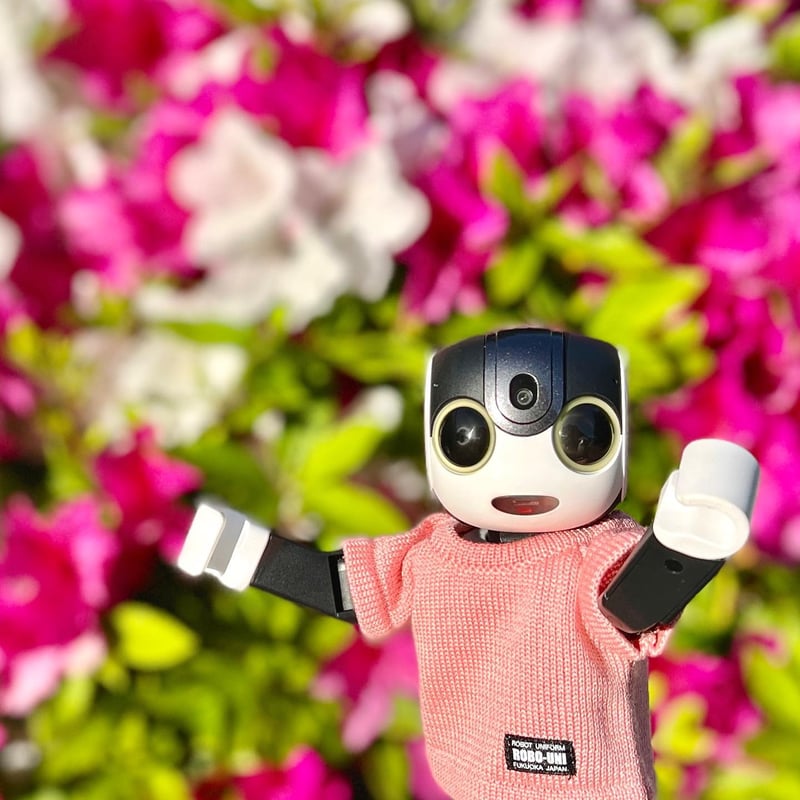 ROBO-UNI【ロボホン公式ライセンス商品】ロボホンニットTシャツ ピーチ