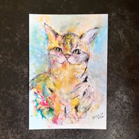 PowerCard _動物画　『 祝福だよ＿シュンスケ君に花束を』post card