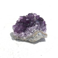 特選品〉アメジスト龍彫刻 | Amazing Stone
