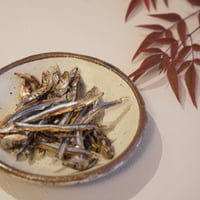 キビナゴ