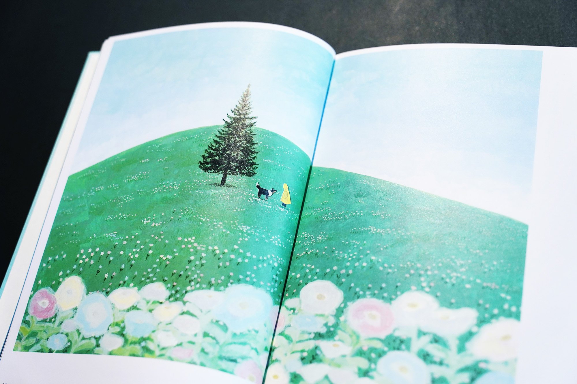 作品集「A Picture Tells a Story 絵は話してくれる」 | くのまりオンラ