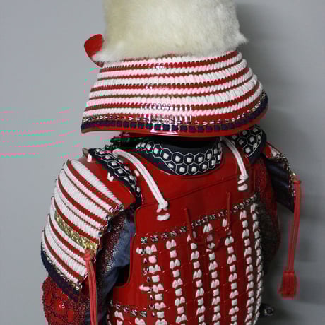 【O-017】卯の花糸威伊予二枚胴具足