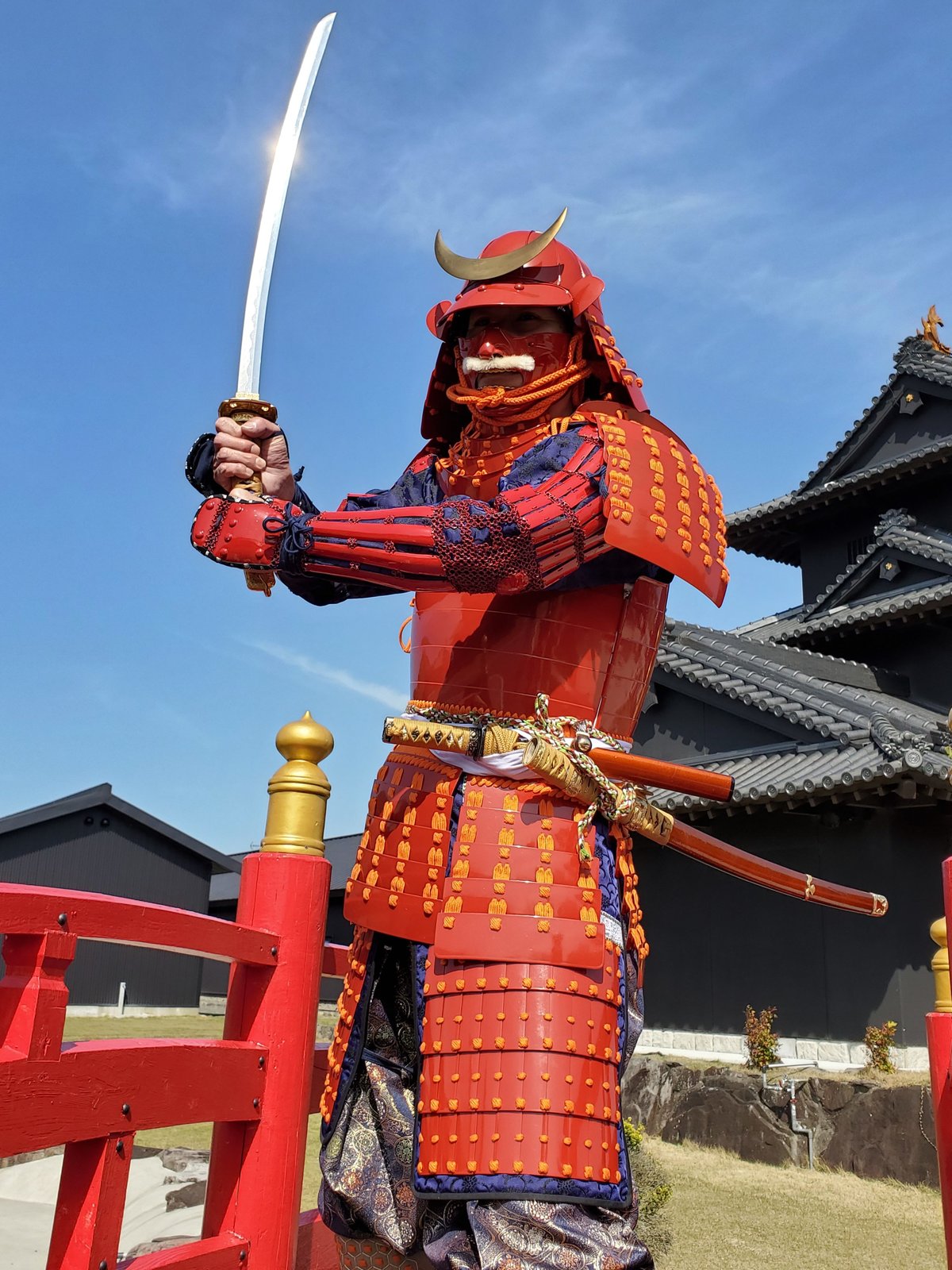 少林寺拳法 2枚胴 Lサイズ(大人用) 【L4-6】赤桶側二枚胴 (