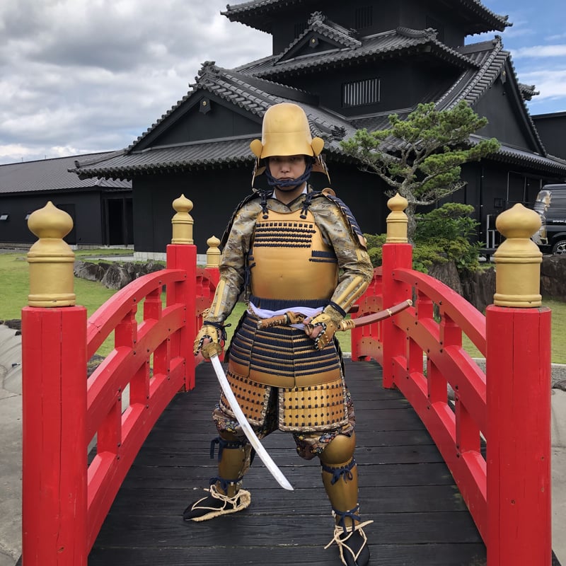 徳川家康① MG 1/100 武者ガンダムMk-II 徳川家康 南蛮胴具足Ver.｜バンダイ