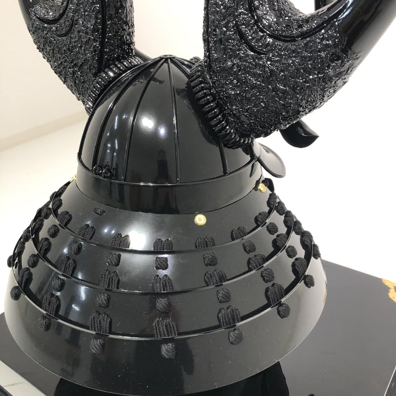 11年目の実生ミラクル兜 特大株 直径約8cm 鉢ごとメルカリ便