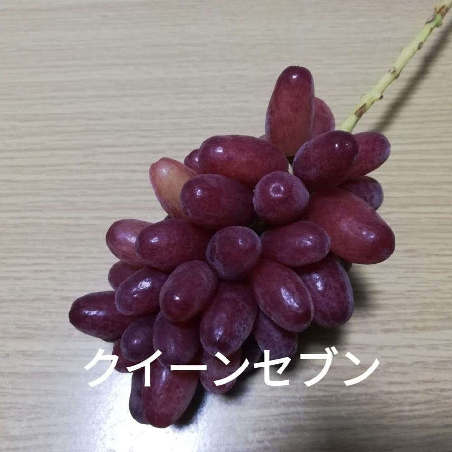 66b1a36088afc101bc0adbd7