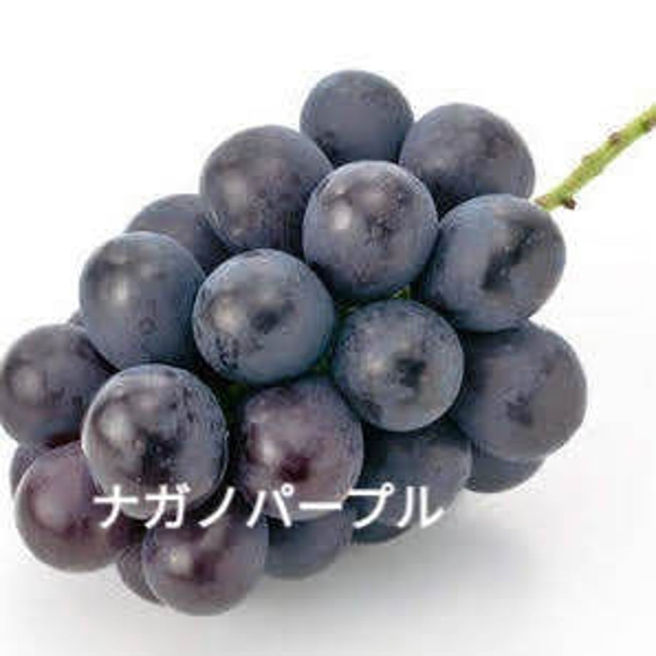 5e3a9bf0c78a536d80ab537b