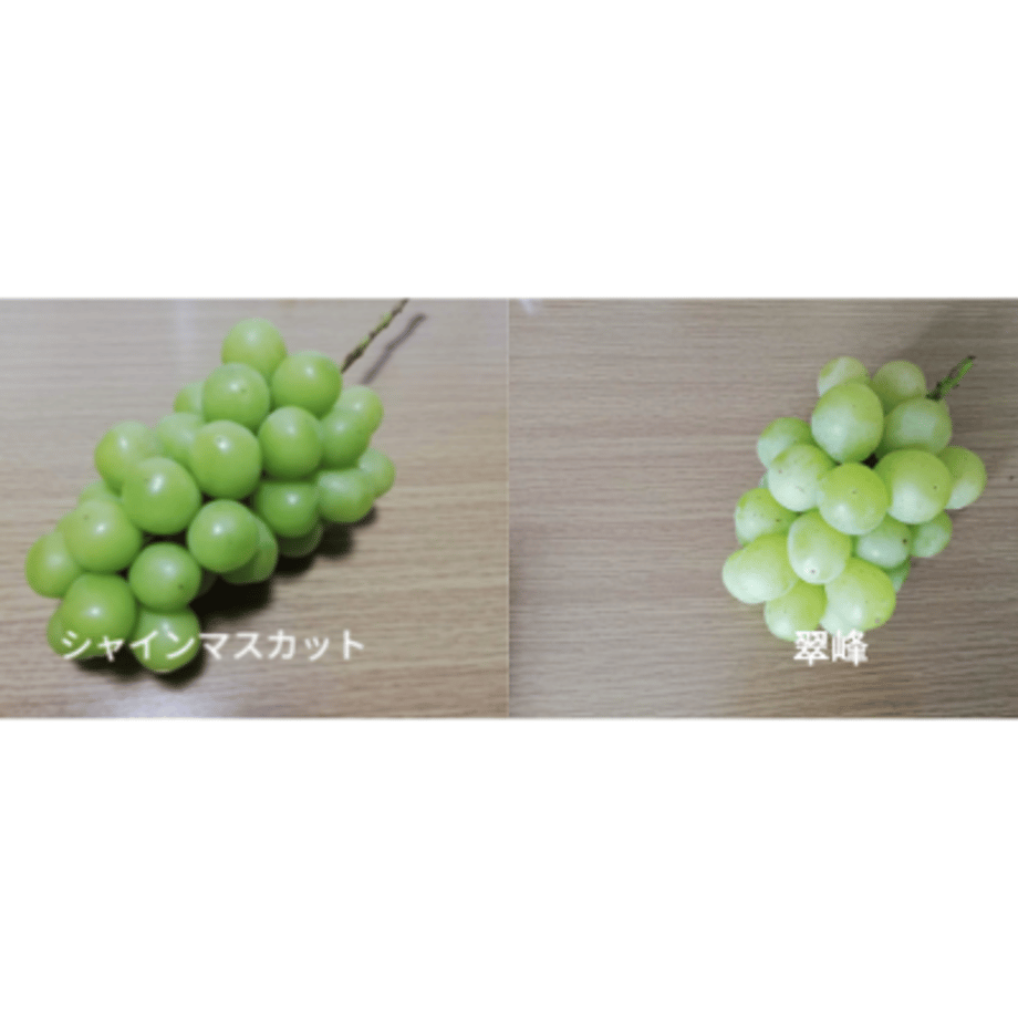 62e892ff8691ec68adc4d6e8