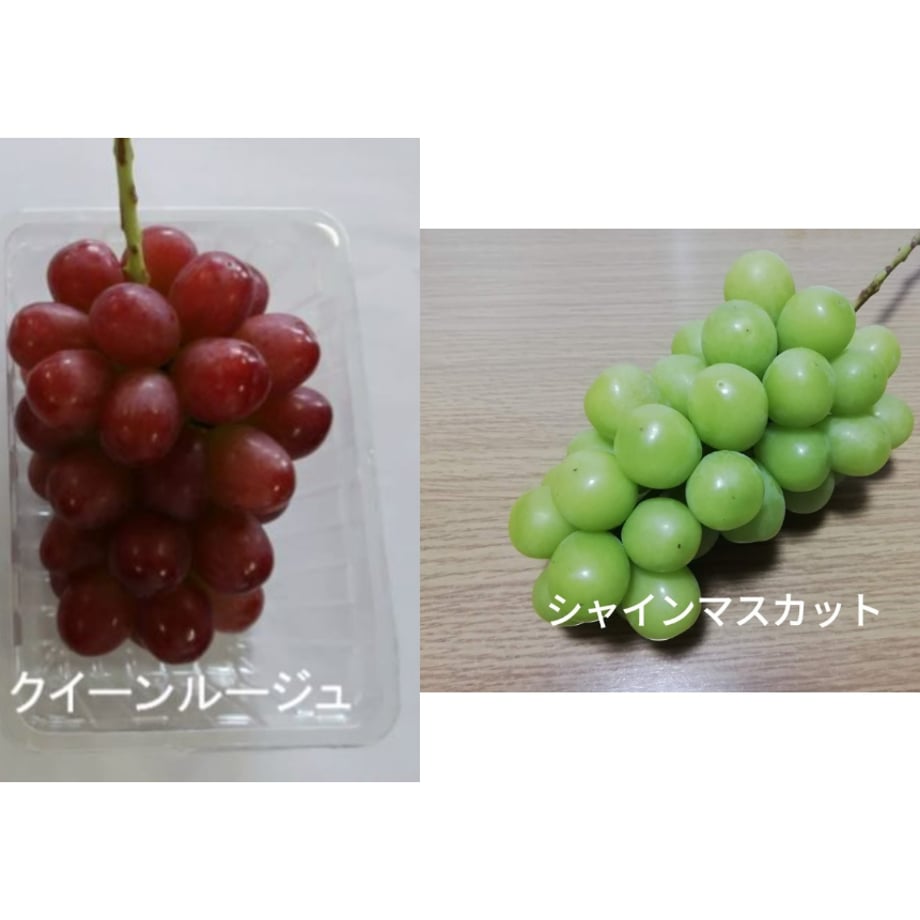 66eca4d19d25821c3469a49b