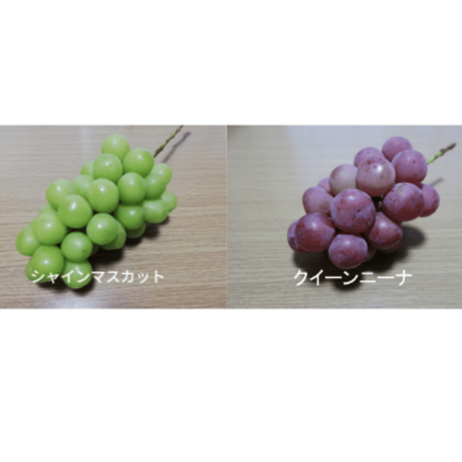 64ba6ef6117e11003f3f9e6f